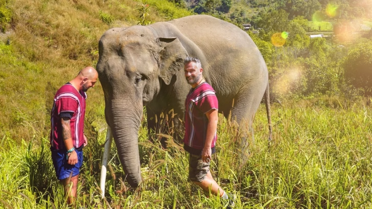 Karen Elephant Home progetti etici con gli elefanti in thailandia