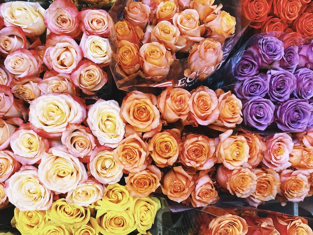 Esplosione di colori al mercato dei fiori nei Mercati Generali di Milano, con splendide rose in tonalit&agrave; di giallo, arancione, rosa e viola. I fiori, freschi e ben confezionati, creano una composizione vibrante perfetta per chi ama il profumo e la bellezza delle rose.