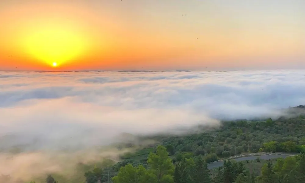 panorama-di-irsina-cosa-vedere-in-basilicata