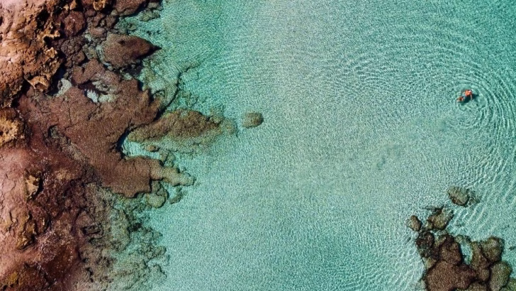 Vista aerea di una baia con acque cristalline e fondale roccioso, con una persona che nuota tra leggere increspature nel mare. Il contrasto tra la roccia marrone e il turchese trasparente dell&rsquo;acqua crea un panorama mozzafiato, tipico delle spiagge pi&ugrave; belle del Salento.