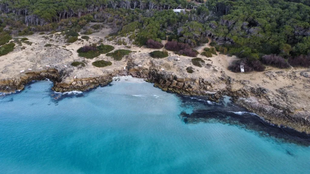 Veduta aerea della spiaggia di Punta della Suina a Gallipoli, con il suo litorale roccioso e il mare cristallino dai riflessi turchesi. La vegetazione mediterranea e la pineta incontaminata incorniciano questo angolo di paradiso nel Salento.