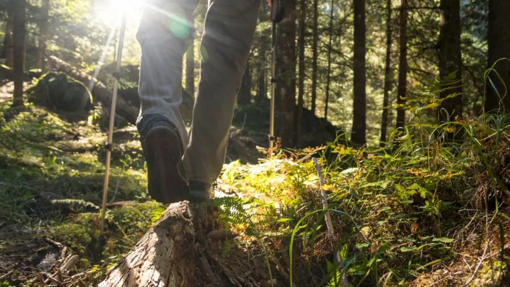 bosco-di-verrutoli-cosa-vedere-nei-dintorni-di-irsina-in-basilicata