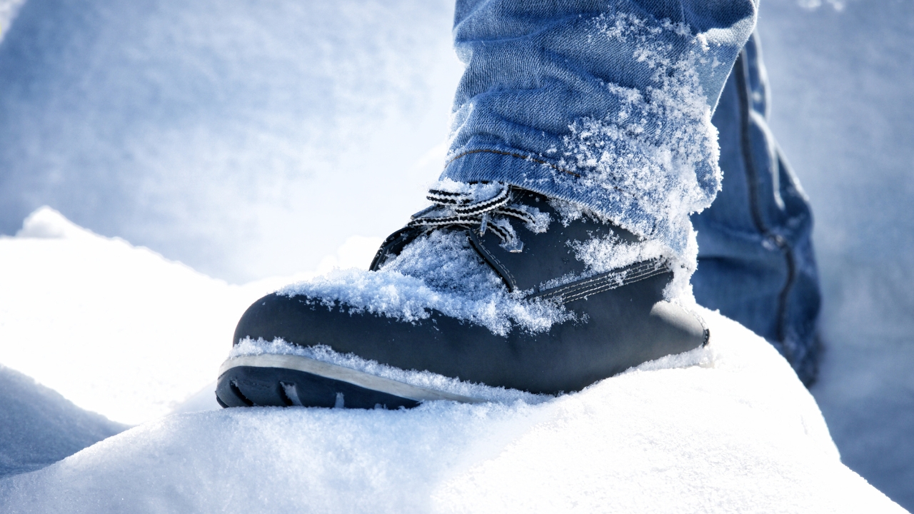 Jwans Stivali da Neve da Donna Inverno Foderato in Peluche Zeppa con Lacci  Scarpe Calde Stivaletti da Donna Impermeabili Antiscivolo da Esterno 