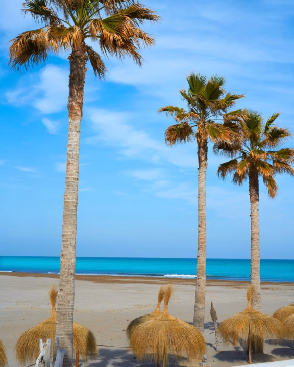 Spiaggia gay friendly a Valencia con sabbia dorata, ombrelloni di paglia e alte palme che si stagliano su un cielo azzurro e mare turchese. Un luogo rilassante e suggestivo, perfetto per vacanze gay e giornate al sole.
