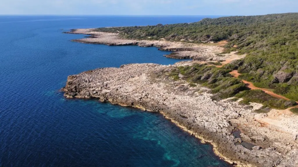 Veduta aerea della costa di Porto Selvaggio vicino a Torre Uluzzo, nel Salento, con le sue calette e spiagge nudiste del Salento con acque cristalline e scogliere rocciose circondate dalla pineta. Una delle spiagge gay e naturiste pi&ugrave; amate nei dintorni di Gallipoli.