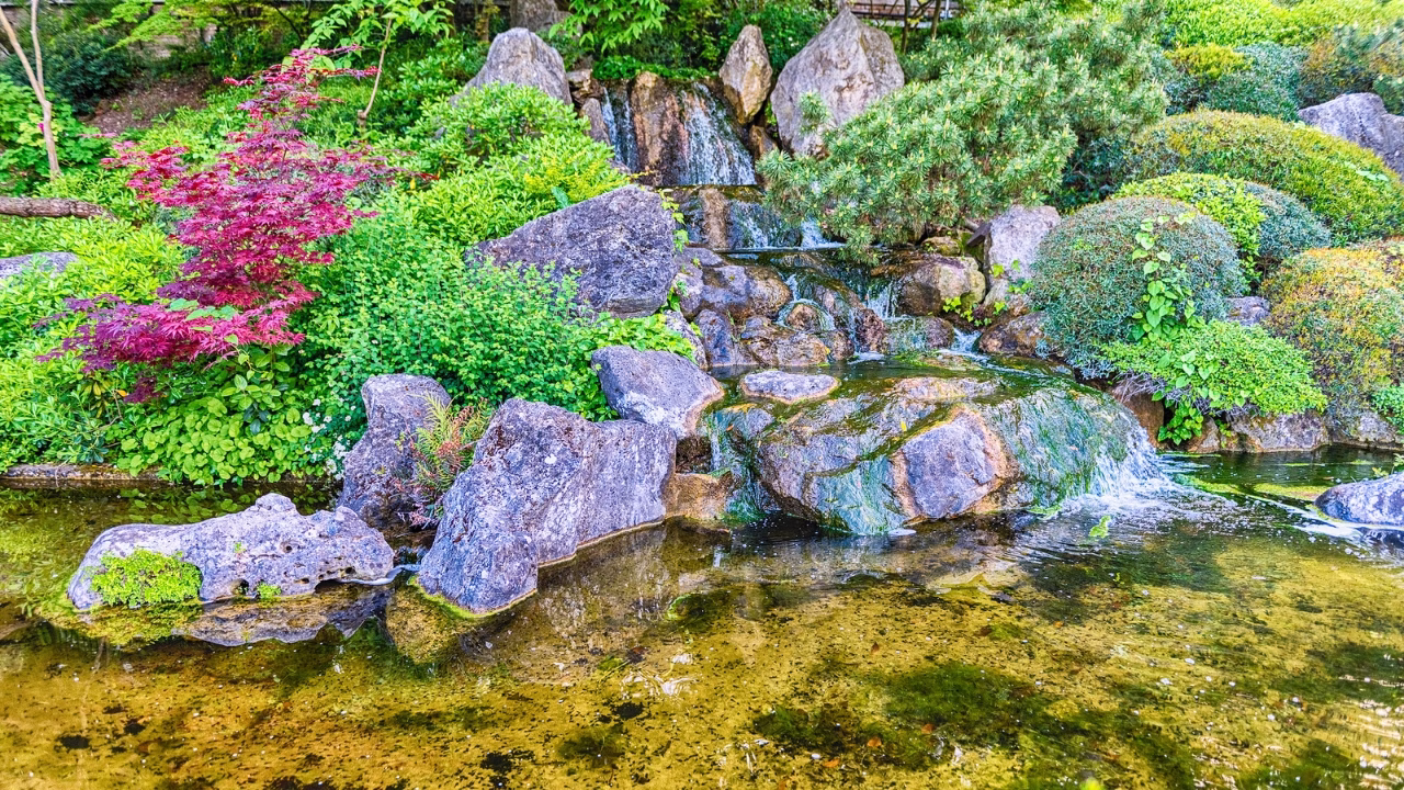 Cascata tra rocce e vegetazione nel giardino giapponese dell&rsquo;Orto Botanico di Roma, con acqua limpida che scorre in un piccolo laghetto circondato da piante verdi e un acero rosso.