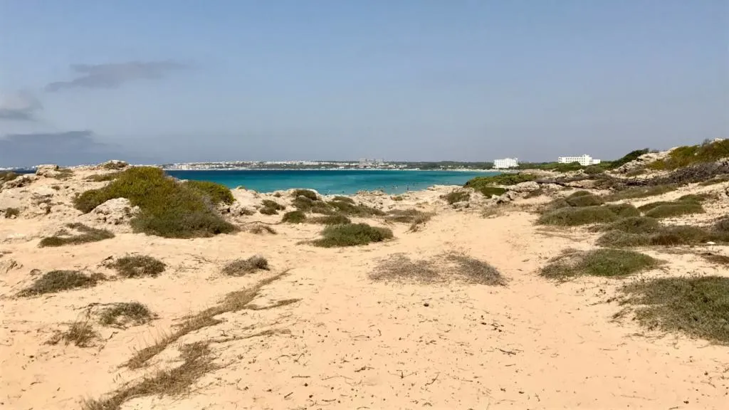 Sentiero sabbioso tra dune e vegetazione mediterranea che conduce a una spiaggia incontaminata con mare cristallino. Sullo sfondo, si intravedono alcuni edifici bianchi e il profilo della costa salentina, tipico del litorale di Gallipoli.