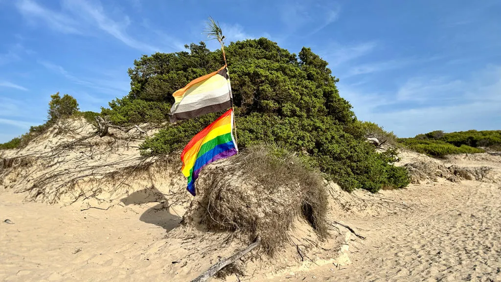 La bandiera arcobaleno e quella bear alla spiaggia gay di Punta della Suina a Gallipoli in Salento, Puglia