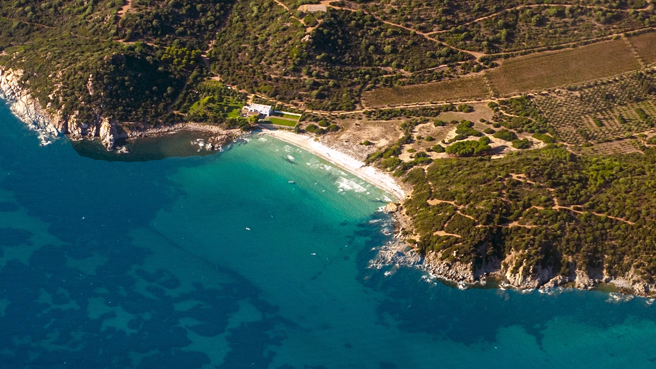 Veduta aerea della spiaggia gay di Calamosca vicino a Cagliari, con acque turchesi che bagnano una baia appartata circondata da macchia mediterranea, vigneti e sentieri che si snodano tra la vegetazione.
