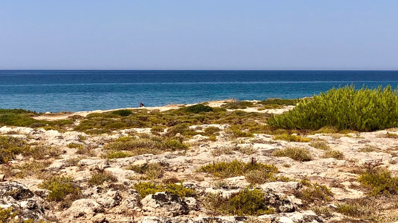 Scogliera rocciosa di Punta Pizzo, una delle spiagge nudiste del Salento, ricoperta di vegetazione mediterranea che si affaccia su un mare calmo e azzurro, con una persona visibile in lontananza vicino alla riva.