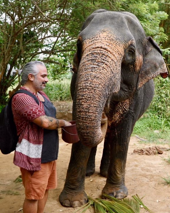 Durante una delle attivit&agrave; dell'Elephant Freedom Project si pu&ograve; dare da mangiare agli elefanti