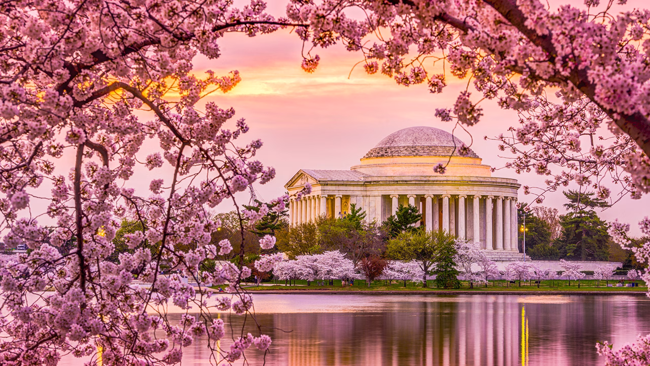 Jefferson Memorial a Washington, DC circondato dai ciliegi in fiore, meta culturale e citt&agrave; gay friendly per viaggiatori LGBTQ+ negli Stati Uniti